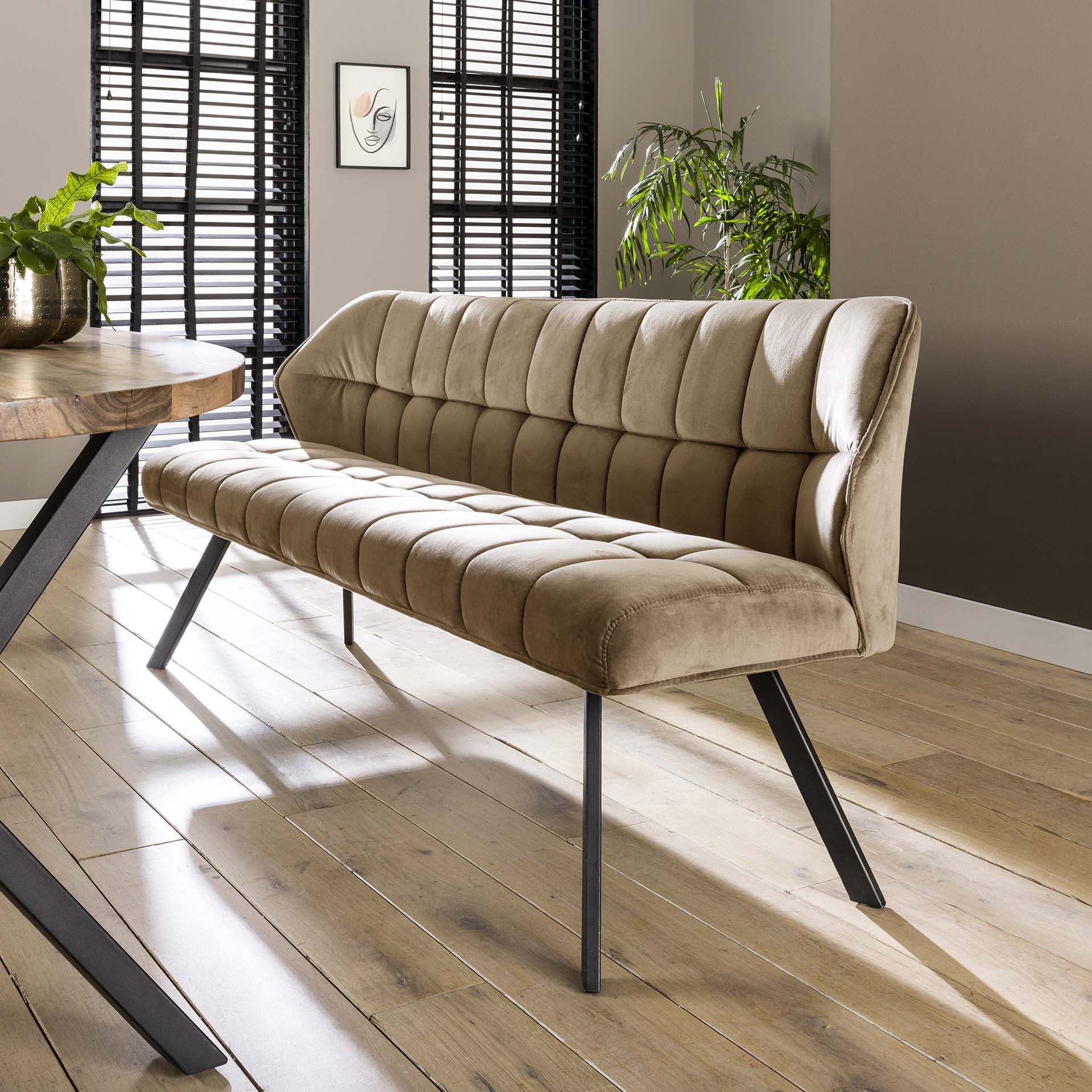 Clapton Bænk i Champagnefarvet Fløjl - Moderne Design