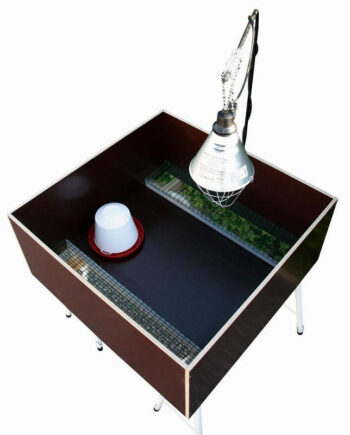 Minkkravlegård  Sneaker