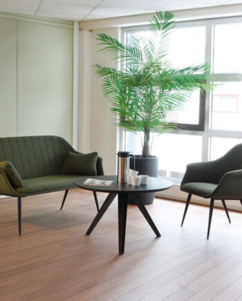 Amicus Stol Sono Sneaker