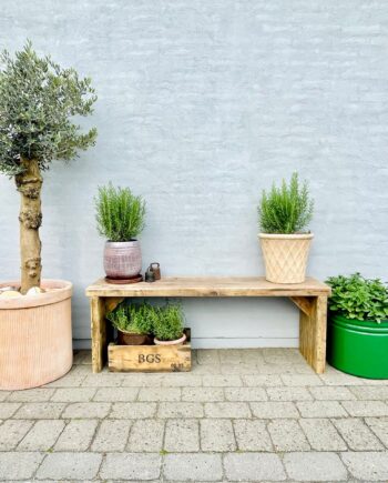 Emma Bænk Genbrugstræ  130 Lak Inde Kabeltromlen Sneaker